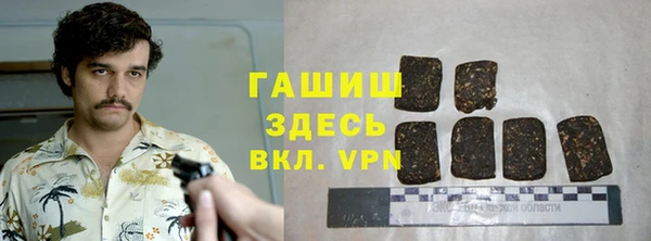 гидра Алексеевка