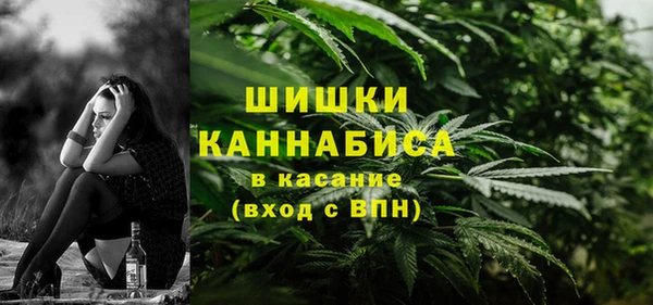 дмт Алзамай