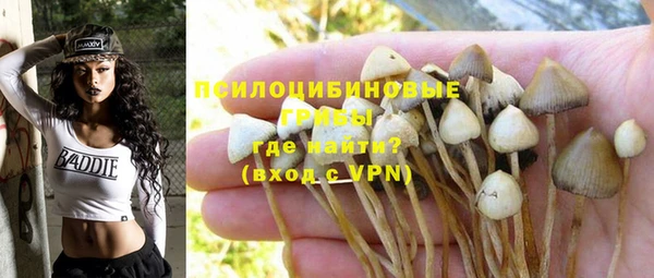дмт Алзамай