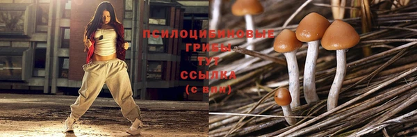 2c-b Арсеньев