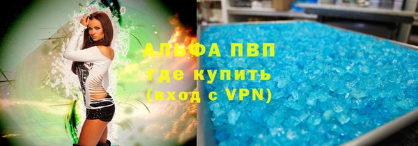 гидра Алексеевка