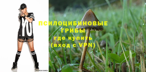 гидра Алексеевка
