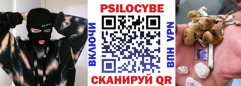 сколько стоит Байкальск Галлюциногенные грибы Cubensis